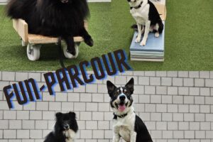 Fun-Parcour(2)