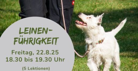 Leinenführigkeit Leinenführigkeit