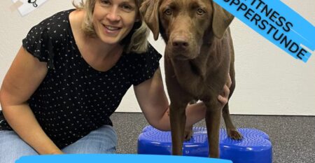 Dog Fitness Schnupperkurs