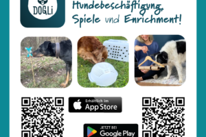 Webseite Banner