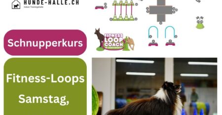 Schnupper Fitness Loops(1) Schnupper Fitness Loops(1)