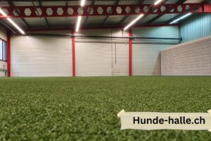 Front Hunde-halle.ch