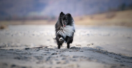 _DSC6486-Bearbeitet-Web _DSC6486-Bearbeitet-Web