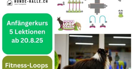 Freitag_Fitness Loops Anfängerkurs Freitag_Fitness Loops Anfängerkurs