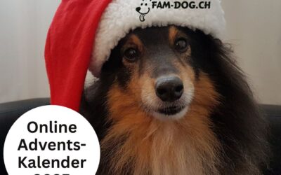 Adventskalender 2025