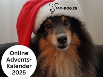 Adventskalender 2025