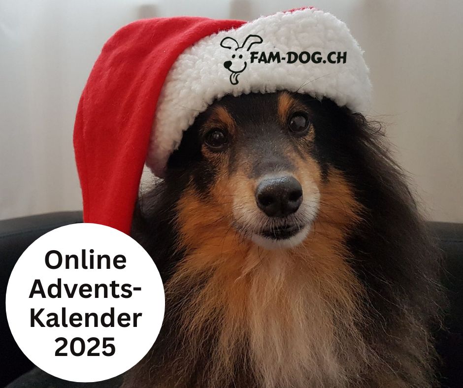 Adventskalender 2025