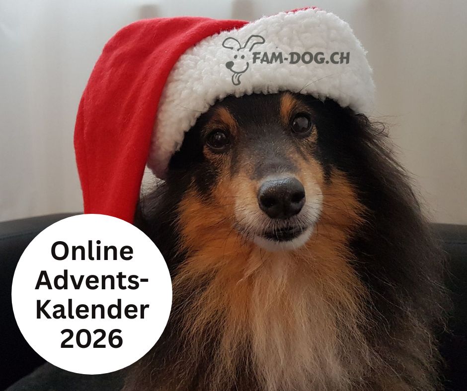 Adventskalender 2026