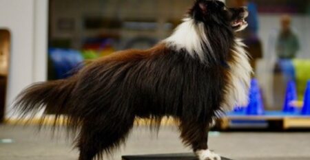 Neutral_Fitness Loops Neutral_Fitness Loops