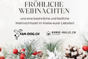 Weihnachten 25
