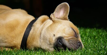 Wie bereichere… Wie bereichere…