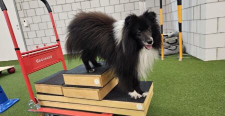 WhatsApp Image 2026-03-31 at 16.51.02