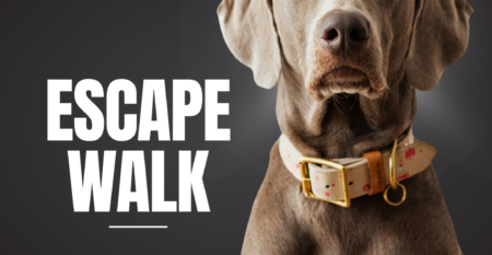 Krimi-Escape-Walk_Post1