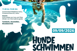 Hundeschwimmen_1080X1080px